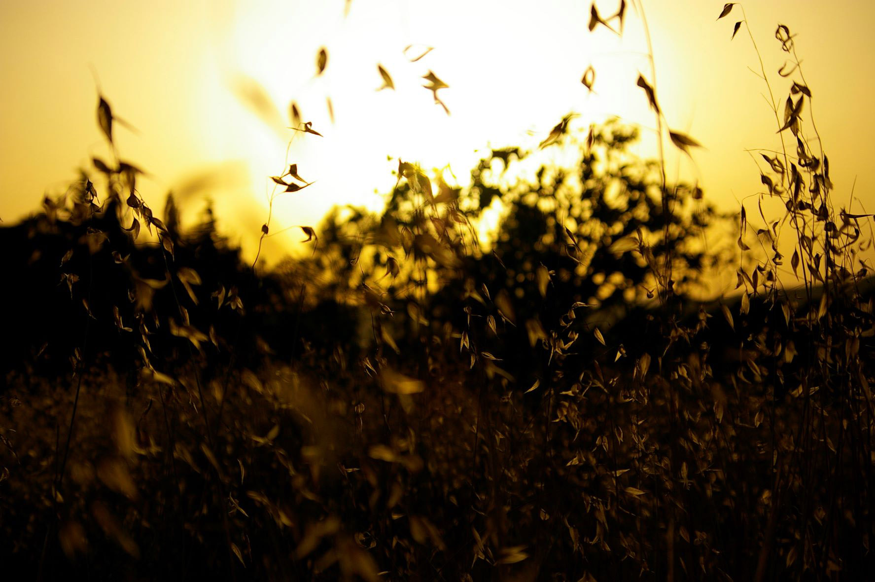 Home 30 Creative photography with a DSLR camera
