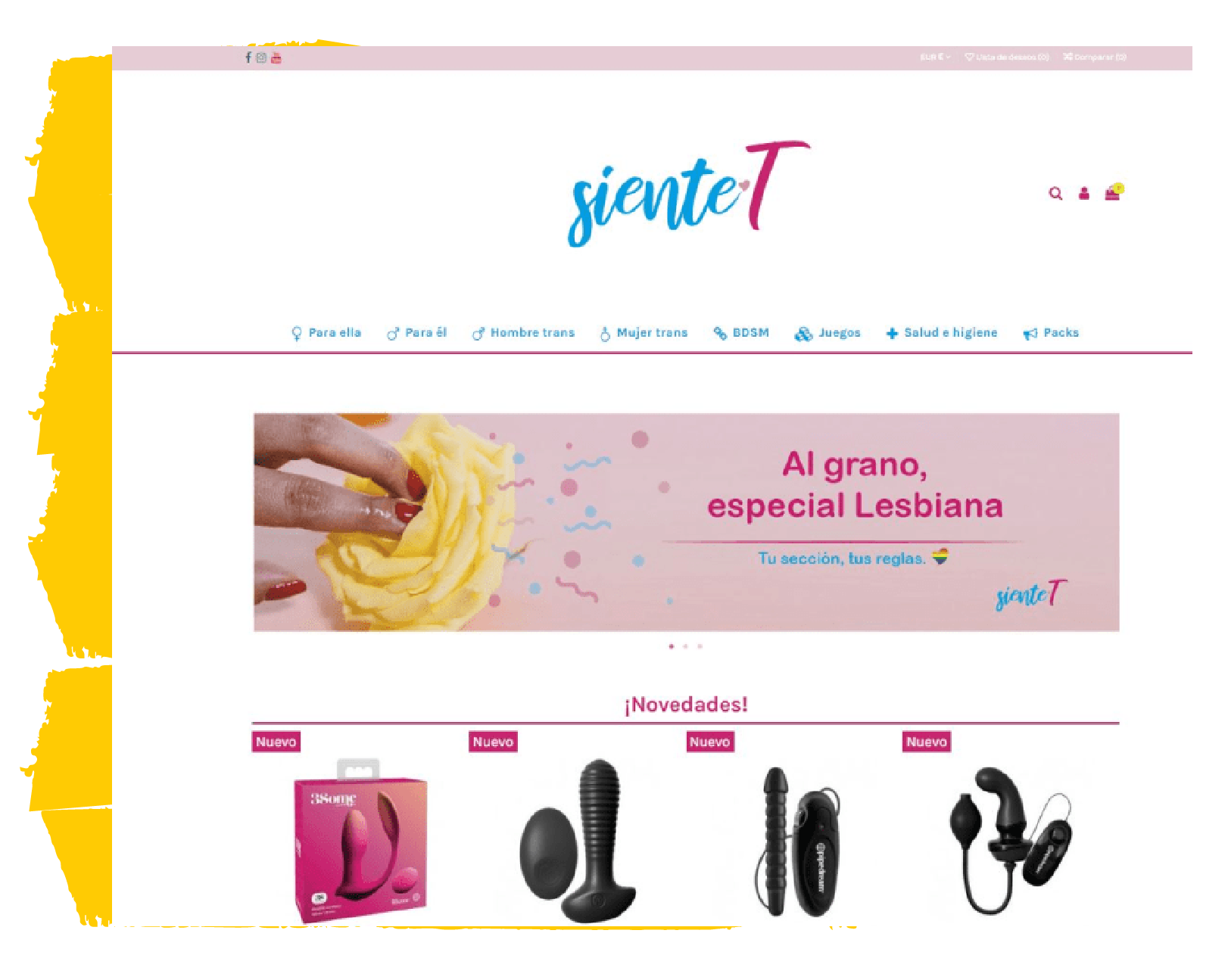 Home 12 SienteT Web Design