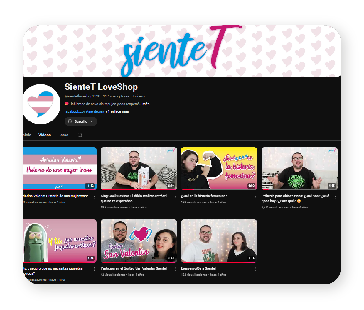 Home 13 Video editing and scriptwriting – SienteT YouTube Channel